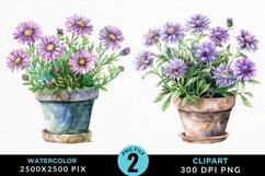 Watercolor Asters Pot Image Clipart Product Image 1