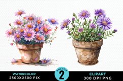 Watercolor Asters Pot Graphics Clipart Product Image 1