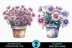 Watercolor Asters Pot Graphics Clipart Product Image 1