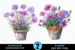 Watercolor Asters Pot Graphics Clipart Product Image 1