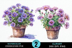 Watercolor Asters Pot Image Clipart Product Image 1