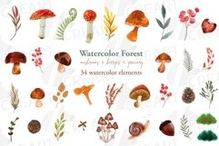 Watercolour mushroom and fall woodland clipart, decor design Product Image 2