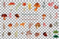 Watercolour mushroom and fall woodland clipart, decor design Product Image 3