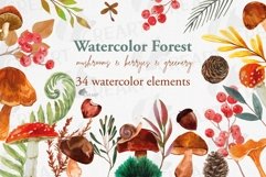 Watercolour mushroom and fall woodland clipart, decor design Product Image 1