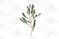 Watercolour mushroom and fall woodland clipart, decor design Product Image 8