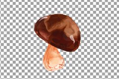 Watercolour mushroom and fall woodland clipart, decor design Product Image 11