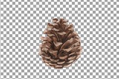 Watercolour mushroom and fall woodland clipart, decor design Product Image 12