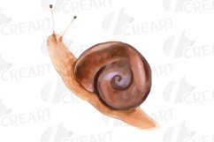 Watercolour mushroom and fall woodland clipart, decor design Product Image 7