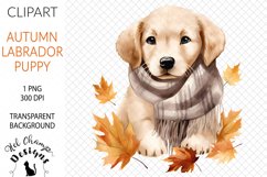 Watercolor autumn labrador puppy scarf sublimation clipart tranparent