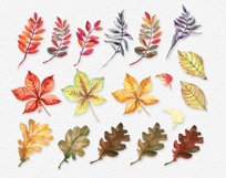 Watercolor autumn leaves clipart, PNG file, Fall sublimation Product Image 3