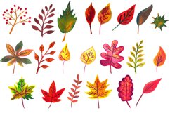 Watercolor Cliparts Autumn Leaves Product Image 9
