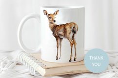Watercolor deer clipart baby deer sublimation 12 PNG file Product Image 5