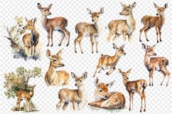 Watercolor deer clipart baby deer sublimation 12 PNG file Product Image 2