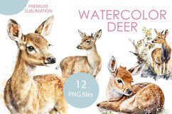 Watercolor deer clipart baby deer sublimation 12 PNG file Product Image 1