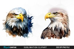 Watercolor Bald Eagle Set Clipart Product Image 1