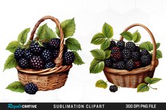 Watercolor Basket Blackberry Graphics Clipart Product Image 1