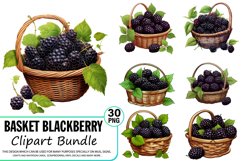 Watercolor Basket Blackberry Clipart Bundle,Food Illustrations,Watercolor Drinks,Fruit Clipart,Dessert Clipart,Watercolor Fruit,