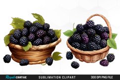 Watercolor Basket Blackberry Graphics Clipart Product Image 1