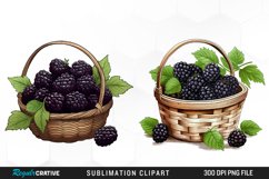 Watercolor Basket Blackberry Graphics Clipart Product Image 1
