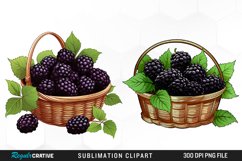 Watercolor Basket Blackberry Graphics Clipart Product Image 1