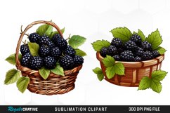 Watercolor Basket Blackberry Graphics Clipart Product Image 1