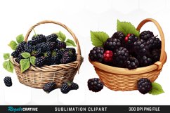 Watercolor Basket Blackberry Graphics Clipart Product Image 1