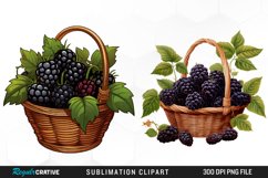 Watercolor Basket Blackberry Graphics Clipart Product Image 1