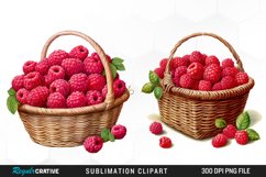 Watercolor Basket Raspberry Clipart Product Image 1