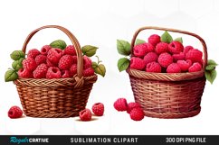 Watercolor Basket Raspberry Clipart Product Image 1