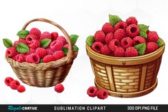 Watercolor Basket Raspberry Clipart Product Image 1