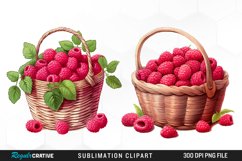 Watercolor Basket Raspberry Clipart Product Image 1