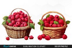 Watercolor Basket Raspberry Clipart Product Image 1
