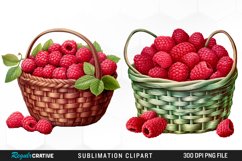Watercolor Basket Raspberry Clipart Product Image 1