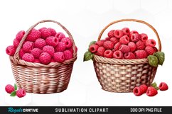 Watercolor Basket Raspberry Clipart Product Image 1