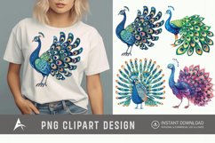Watercolor Beautiful Cute Peacock Clipart Product Image 1