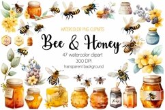 Watercolor Bee and Honey Clipart Bundle