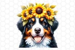 Watercolor Bernese Mountain Dog Clipart Sublimation