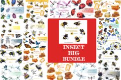 Watercolor bundle clipart. Insect clipart png. Bee clipart Product Image 1