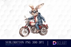 Biker Bunny Watercolor Clipart Product Image 1