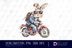 Biker Bunny Graphics Clipart Product Image 1