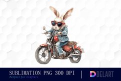 Biker Bunny Illustration Clipart Product Image 1