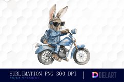 Biker Bunny Graphics Clipart Product Image 1