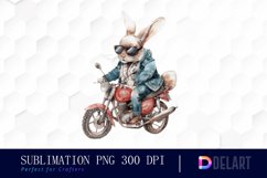 Biker Bunny Illustration Clipart Product Image 1