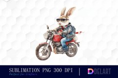 Biker Bunny Illustration Clipart Product Image 1