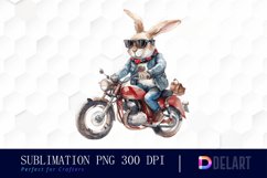 Biker Bunny Illustration Clipart Product Image 1