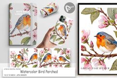 Digital Paper Watercolor Bird Perched Product Image 1