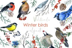 Watercolor christmas Clipart. Winter Birds clipart cardinal Product Image 1
