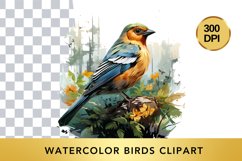 Watercolor birds Clipart , Animal Sublimation PNG Product Image 1