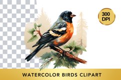 Watercolor birds Clipart , Animal Sublimation PNG Product Image 1