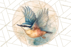 Watercolor Songbirds in Flight PNG Clipart Product Image 5